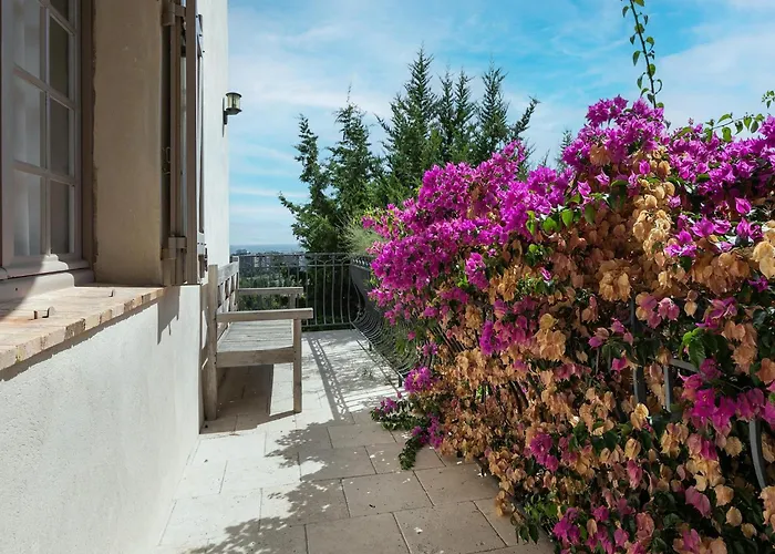 Villa With Rooftop Mandelieu